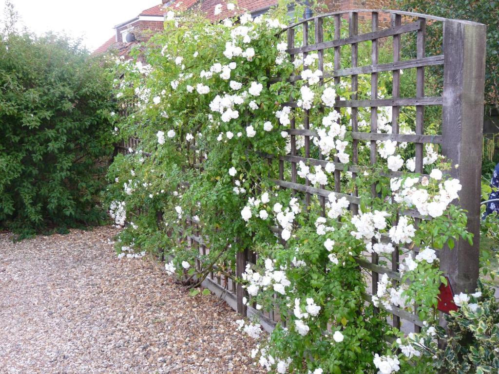 Ashdene House Bed & Breakfast Dersingham Eksteriør bilde